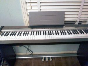learn how to play piano online cropped piano
